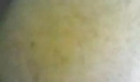 Đang làm việc trên ghế, anh chàng để ý thấy cô chủ nhẹ nhàng vuốt ve âm hộ ẩm ướt và núm vú nhô cao trên ngực cô ấy, anh ta ngay lập tức quên hết mọi thứ và lao vào giữa hai chân cô để liếm âm vật và nhấc chân cô ấy lên một cách gợi cảm. phim sec khong